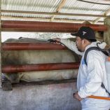 Acciones sanitarias implementadas en el país