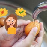 ¿Se deben lavar los huevos antes de usarlos?