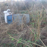 Operativo en Sinaloa