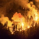 Los incendios han consumido más de 15 mil hectáreas en la Patagonia argentina.