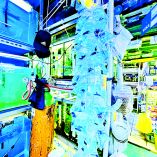 En el mercado se ofrecen peces en bolsas, tortugas hacinadas y hasta iguanas. Originalmente, el Mercado Mixhuca, en Venustiano Carranza, sólo vendía peces.