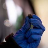 Balaceras hoy en CDMX.