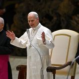 Papa León XIV durante audiencia