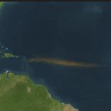 Arribo de sargazo a México