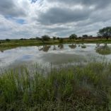 Este material recuperaría la transparencia del Lago de Chapultepec.