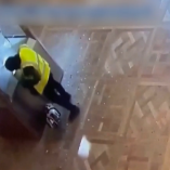 Captan momento del robo en el Museo del Louvre de París