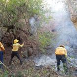 incendio forestal