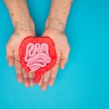 El intestino y su microbiota juegan un papel clave en el envejecimiento, la inmunidad y el riesgo de enfermedades crónicas.