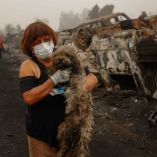 Viviendas completamente destruidas en Penco y Lirquén tras los incendios forestales del sur de Chile.
