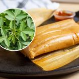 Receta de tamal de chipilín