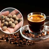 Qué es el café de capomo