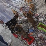 La ciudadanía ve necesario un ordenamiento y negociación con los locatarios y vendedores