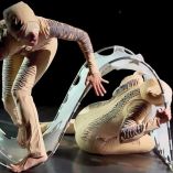 Bailarines durante la presentación de Masticando hielo.