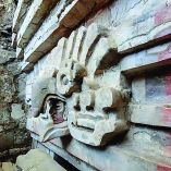 La Tumba 10, recién descubierta, pertenece al periodo Clásico tardío (ca. 600-850 d.C) y ha sobrevivido casi intacta.