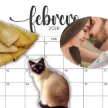 Estos son los días más importantes de febrero 2026