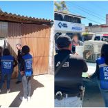 Animales maltratados rescatados en Oaxaca