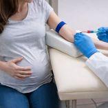 El perfil prenatal, también conocido como panel prenatal, no es un estudio único, sino un paquete de análisis clínicos.