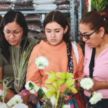 Del 27 de febrero al 1 de marzo, Plant Fest vuelve a CDMX con plantas únicas