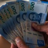 Los Cetes permiten generar ganancias sin asumir grandes riesgos.