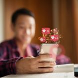 Países que están prohibiendo las redes sociales en menores de edad