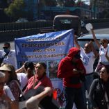 Los gatos rescatados del refugio fueron ingresados a una clínica veterinaria desde el 18 de diciembre