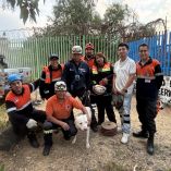 “Jack” fue rescatado por personal de Protección Civil de la alcaldía de Coyoacán y entregado a su compañero