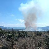 El incendio se registró en el municipio de Ajacuba, Hidalgo