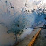 Hasta el momento, no se registraron defunciones; cabe señalar que el virus estuvo presente en 20 entidades del país.