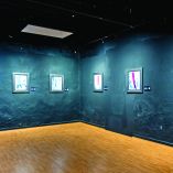 En las piezas que se presentan en esta muestra Tamayo utilizó su paleta emblemática, con tonalidades rosa, azul, sepia y morado.