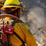 El año pasado se afectó una superficie de un millón 230 mil 212 hectáreas.