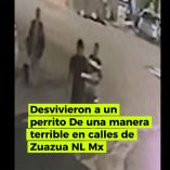 Gracias a la presencia de una cámara de videovigilancia en la zona, el acto de crueldad cometido por el masculino, fue captado y posteriormente difundido en redes sociales.