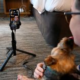 Reino Unido analiza introducir en 2026 una prohibición del uso de redes sociales para menores de 16 años