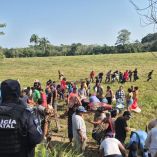 Un tráiler cargado con ganado chocó y derribó un puente peatonal