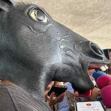 Luis "N", es un therian, que a sus 28 años se identifica como caballo y llegó este jueves al Congreso estatal para promover una iniciativa de ley en contra del acoso y el bullying.