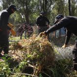 La autoridad ambiental de la Ciudad de México recordó que la zona lacustre de Xochimilco es patrimonio de la ciudad