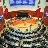 Aun cuando el voto de los 20 senadores del Verde-PT se divida, porque algunos de sus integrantes tienen arraigo morenista, la reforma electoral en el Senado no tiene la mayoría calificada.Ciudad de MÈxico a 11 de Febrero del 2026SESI”N PLENARIA DE LA C¡MARA DE SENADORES.  SAL”N DE SESIONES DE LA C¡MARA DE SENADORES.SAUL MONREAL, LAURA ITZEL CASTILLO, IGNACIO MIER, JUANITA GUERRA, MANUEL ANORVE,ANDREA CHAVEZ, FELIX SALGADO MACEDONIO, RUTH GONZALEZ SILVA,GERARDO FERNANDEZ NORONA, Foto Mateo Reyes Arellano