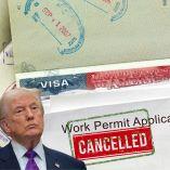 Solicitantes de asilo esperan resolución de sus casos en Estados Unidos.