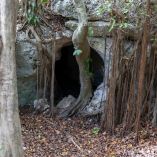 El sitio mide 52 metros de ancho por cinco metros de profundidad y cuenta con cuatros cámaras para monitorear a las especies.