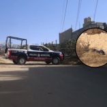 Embolsados en Tultepec.