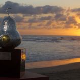 Un total de 18 tenistas han sido campeones en el Abierto Mexicano de Tenis.