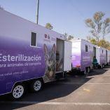 Plan bienestar animal CDMX.