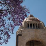 Festival de las Flores en el Monumento a la Revolución CDMX, fechas