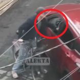 Así captaron el momento