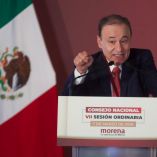 Morena, política