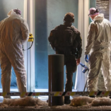 La policía noruega ha pedido a la población que tenga pistas sobre el incidente o que tenga observaciones en la zona de Makrellbekken