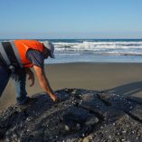 Trabajador con chaleco reflectante inspecciona gran masa de chapopote solidificado sobre la arena en una playa del litoral de Veracruz.