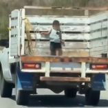 Todo habría ocurrido por una confusión familiar, pues se creyó que el pequeño se había quedado al cuidado de su abuela.