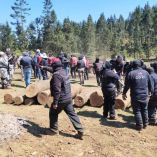 La Profepa detalló que la acción se realizó el 25 de febrero, luego de una solicitud de la Secretaría de la Defensa Nacional
