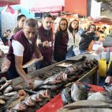 Profeco verifica precios en La Nueva Viga