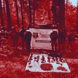 Detenidos en Chihuahua